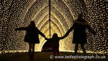 In Pictures: Spectacular light show brings festive cheer to Kew