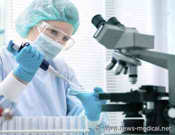 Experimental drug can reverse age-related memory decline in mice