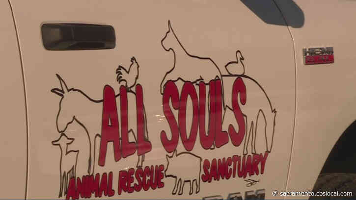 Giving Tuesday: Woodland Dealership Helps Animal Rescue Get New Truck