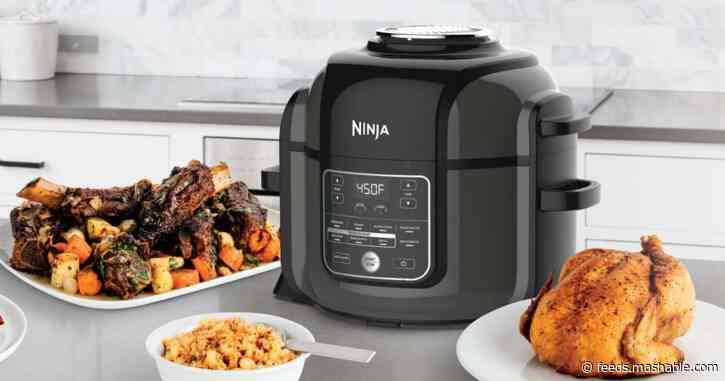 Ninja Foodi reviews 2020: What reviewers and bloggers are saying