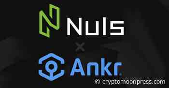 NULS Announces Strategic Partnership with Ankr - CryptoMoonPress