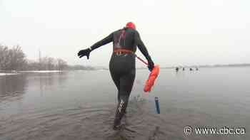 Snow doesn't stop group of swimmers from taking to icy waters of Lake Ontario