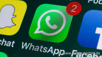 WhatsApp 2.20.130: Personalisierte Hintergründe in Chats kommen – für iOS! - COMPUTER BILD