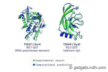 Google Sister Firm DeepMind's AI Cracks Protein-Folding Problem, Heralds New Age of Bioengineering, Medicine