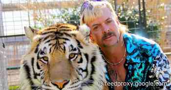 President Trump may pounce on a pardon for Joe Exotic, the Tiger King     - CNET