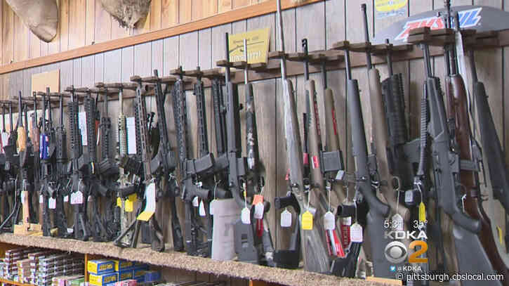 Wilkinsburg Police Offering Gift Cards At Gun Buyback Event