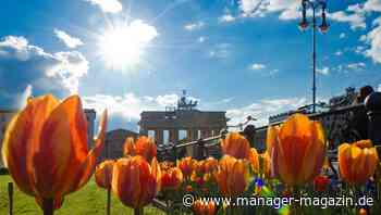 Früher Jahresrückblick: Warum 2020 uns Grund für Optimismus gibt