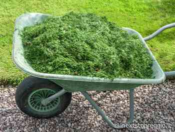 Sfalci d'erba e potature: stop della raccolta dedicata con Giroverde fino al 28 febbraio - Next Stop Reggio