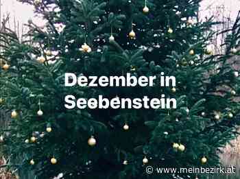 DEZEMBER: DEZEMBER IN SEEBENSTEIN - Neunkirchen - meinbezirk.at