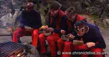 Bookies close betting on I'm A Celeb eviction over 'dead cert' result