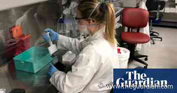 Beware fake coronavirus vaccines, says Interpol - The Guardian