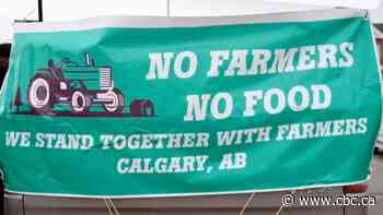 Calgarians with ties to India support historic farmers protest in Delhi