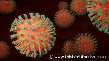 Covid-19 infection rate falls sharply in Enfield