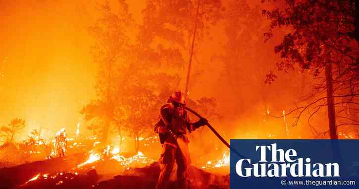 Humanity is waging war on nature, says UN secretary-general