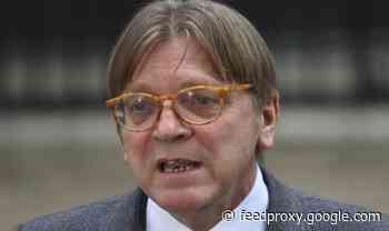 Guy Verhofstadt mocked after gloating over Polish support for EU – ‘Hold a referendum!’