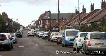 11 cars damaged after 'mindless idiots' go on vandalism spree