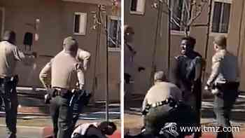 L.A. Cops Tase Man Trying to Help at Car Accident Scene