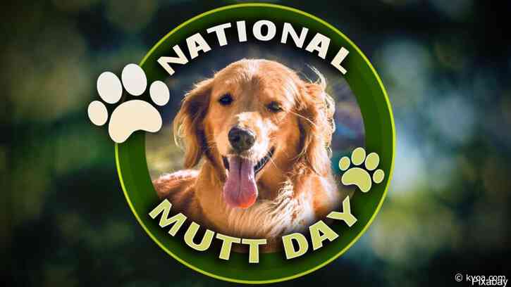 It’s National Mutt Day!