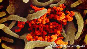 Sask. First Nation enters lockdown amid COVID-19 outbreak