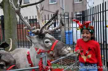 Reindeer visit Sacred Heart Catholic Primary School pupils