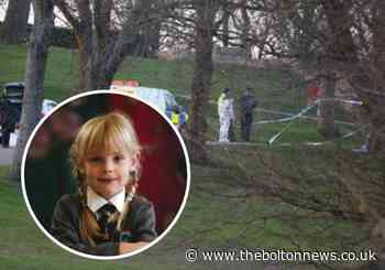 'It was a terrible, rare, random attack': Psychiatrist tells Emily Jones murder trial jury