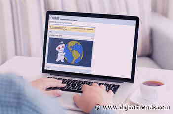 The best subreddits you should subscribe to in 2020