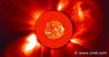 Mesmerizing NASA video captures decades of the sun's spitting fury     - CNET