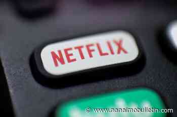 ‘Netflix tax’ for digital media likely to raise prices for consumers, experts say