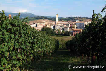 "No all'impianto fotovoltaico a terra all'incrocio delle Piane di Matelica" - RadioGold.TV