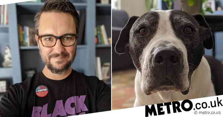 Big Bang Theory’s Wil Wheaton devastated as beloved dog Seamus dies: ‘I will miss him forever’