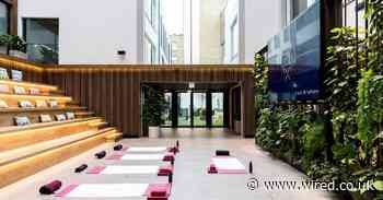 How to do workplace wellness in a better way