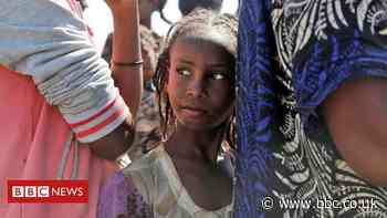 Ethiopia and UN 'reach Tigray aid deal'