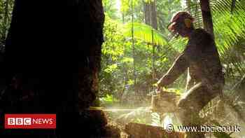 Humans waging 'suicidal war' on nature - UN chief Antonio Guterres