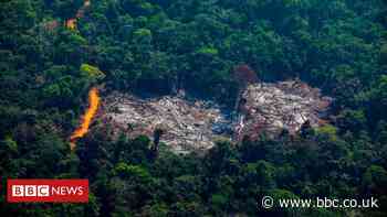 Brazil's Amazon: Deforestation 'surges to 12-year high'
