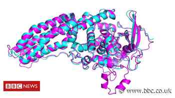 One of biology's biggest mysteries 'largely solved' by AI