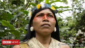 Nemonte Nenquimo: The indigenous leader named 'environmental hero'