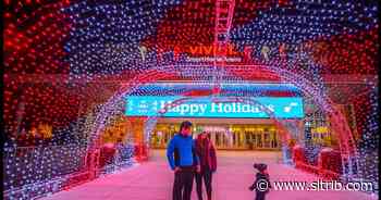Wandering in Winter Wonderland
