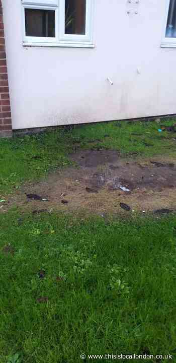 Water leak at Enfield flat left unfixed for 6 weeks