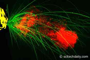 MIT Mechanical Engineers Develop Solutions to Help Slow and Stop the Spread of COVID-19