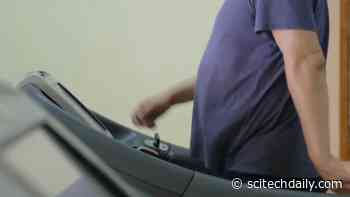 Scientists Investigate Mysterious “Obesity Paradox”