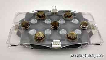 New Device Offers Faster Way to Detect Antibiotic-Resistant Bacteria