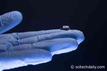 New Lab-on-a-Chip Could Enable Fast, Easy Testing for Colds, Flu, UTIs, and COVID-19 at Home