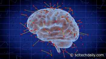 Drinking Alcohol Blocks a Chemical in the Brain That Promotes Attention