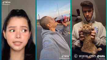 See 2020's most viral TikToks