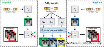 Breaking medical data sharing boundaries by using synthesized radiographs - Science Advances
