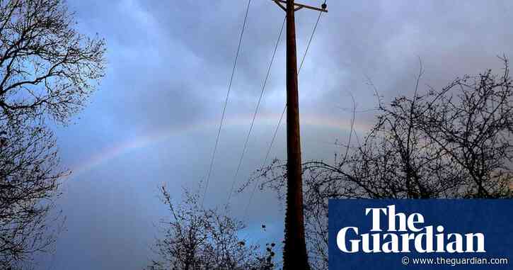 Country diary: fascinated by the falsehood of things