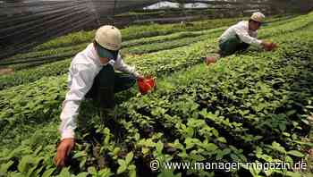 Nestlé will Milliarden in Klimaschutz investieren