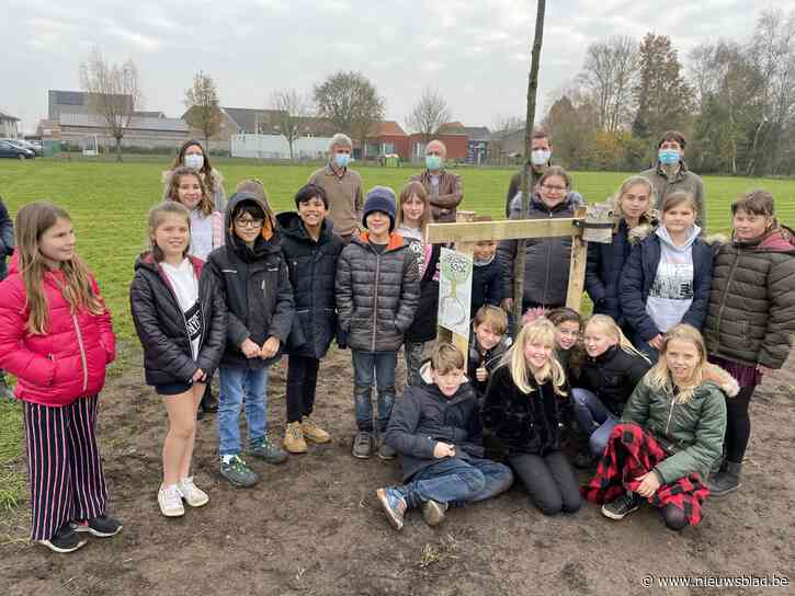 Leerlingen planten toekomstbomen voor hun achterkleinkinderen