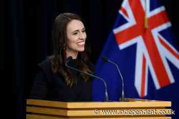 New Zealand wants people to turn 2020 disappointments into trees for ‘forest of hope’