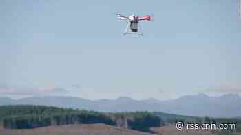This company is using drones to replant forests devastated by wildfires